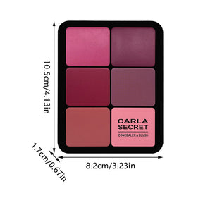 12-Color Blush Palette - Matte & Shimmer, High-End Finis